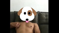 Cachorro safado punhetando Thumb