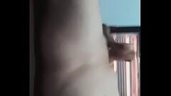 Zestama Thumb