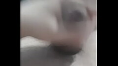 Den exuna me tipota Thumb