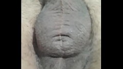 Tha skasoun ta arxidia mou Thumb