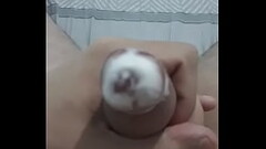 Para Poli Ygros Thumb