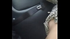 en el carro con mi ex Thumb