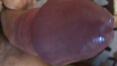 Verga madura golosa y dura Thumb