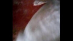 Desi big dick show Thumb