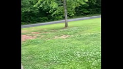 Fucking a dildo attached to trailer hitch outdoors for Hubby Thumb