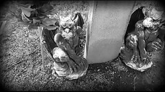 Inside A Grave Thumb