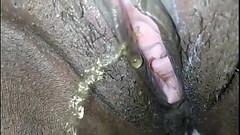 Piss on toilet Thumb