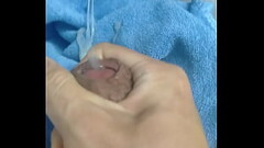 Viet nam moi nhat Thumb