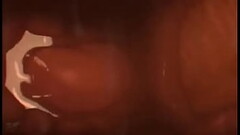 Internal view of Pussy vs Cock Thumb