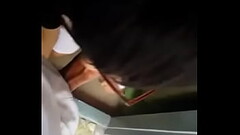 B&uacute_ cu l&agrave_ niềm đam m&ecirc_ Thumb