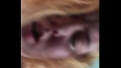 Wife sucking husband&rsquo_s dick and getting fucked Thumb