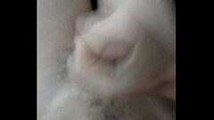 Gozando bem gostoso Thumb