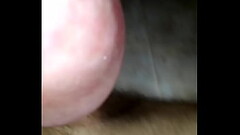 Verga madura caliente  de alto vuelo Thumb