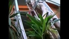 Horny girl likes it big Thumb