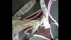 Vannessa La Terrible - Panties Vannessa CumShot Thumb