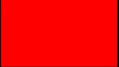 received 1510656518949132 Thumb